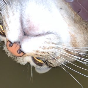 Meet your Posher, Nadia